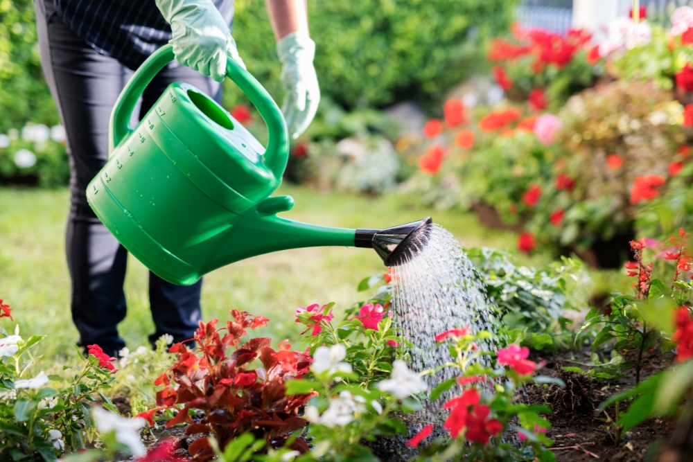 restrictions d'eau arroser son jardin