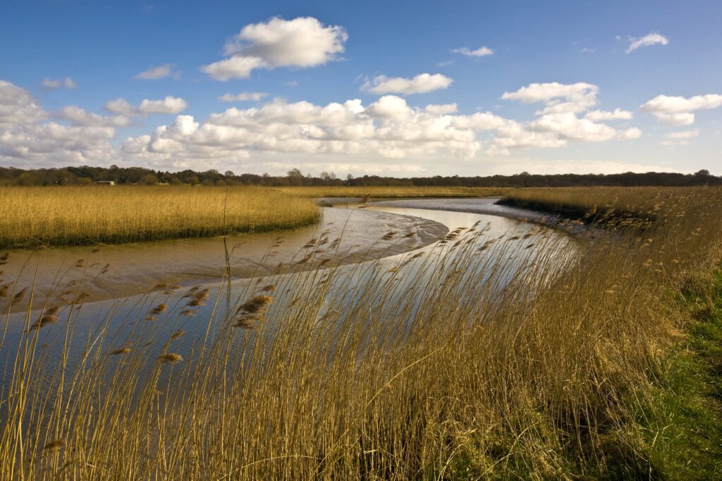 Article gestion de l'eau milieu rural