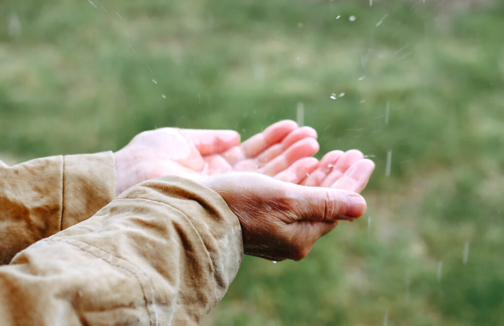 Deux mains ouvertes recueillent des gouttes de pluie, sur un arrière-plan vert flou.